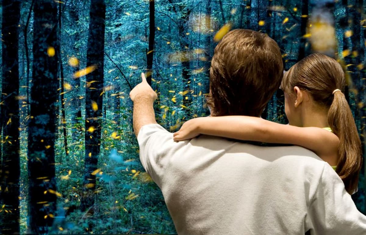 Invitan a ver espectáculo de luciérnagas en parques aledaños a volcanes del centro del país