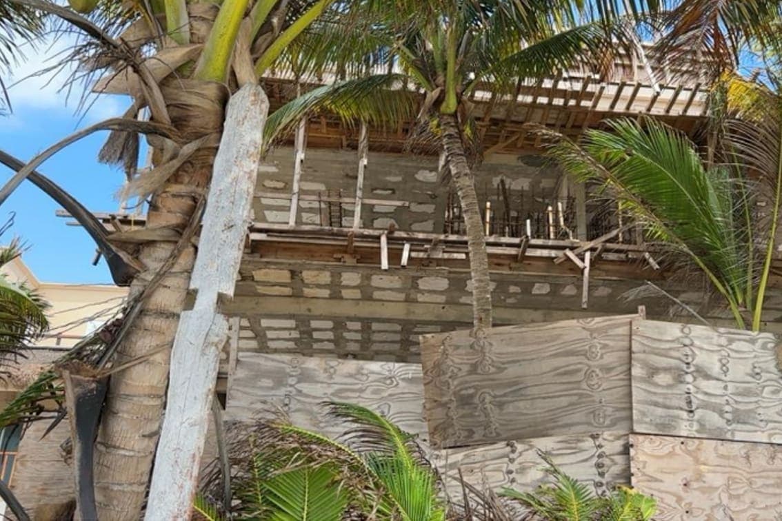 Denuncian a desarrollo en Tulum que afecta anidación de la tortuga marina y violenta leyes ambientales