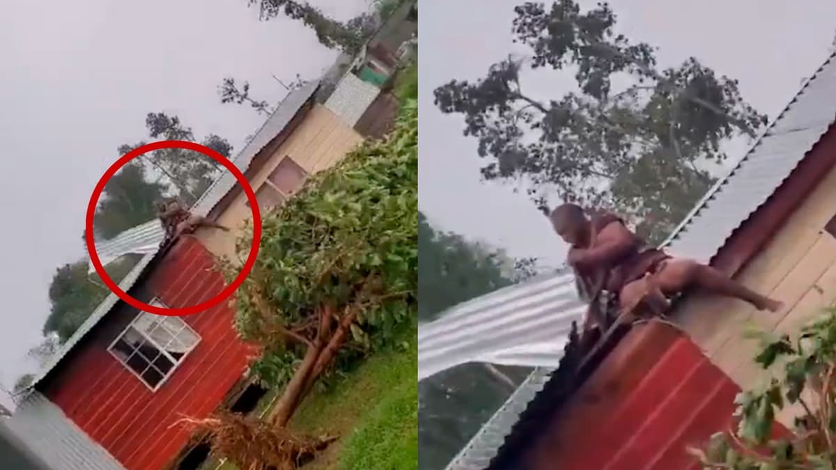 Video: Una mujer se aferró al techo de su casa en Jamaica para que el huracán Beryl no se lo llevara