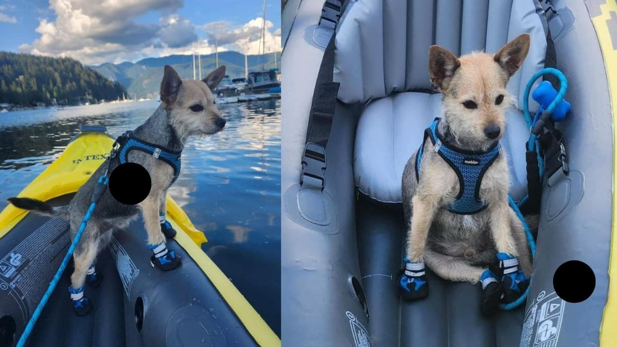 De las calles de Cancún a la clase alta de Canadá: la lujosa vida de Taquito
