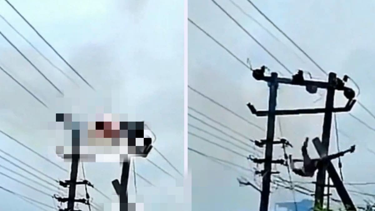 VIDEO: Empleado de electricidad se atora en los cables y muere al recibir una descarga de 11 mil voltios