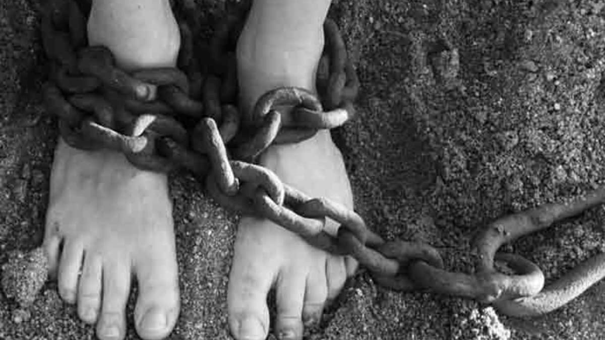 Rescatan a mujer encadenada 40 días en la selva; su esposo la ató a un árbol y la abandonó