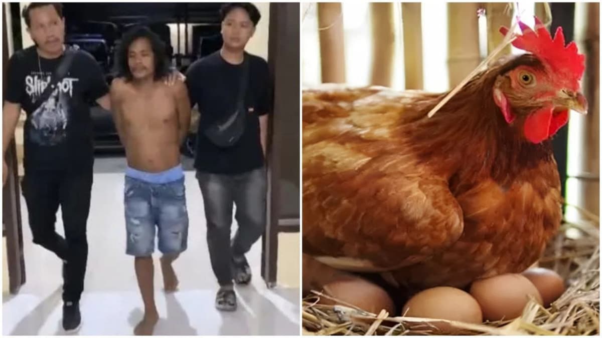 Hombre mata a su amigo en Indonesia por debatir si fue primero el huevo o la gallina
