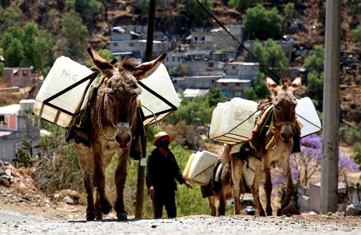 Inicia Semana Mundial del Agua; disminuye 68% disponibilidad en México