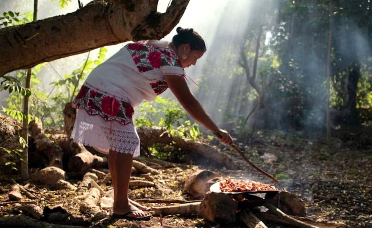 Mujeres mayas de Carrillo Puerto, finalistas del concurso nacional “¿A qué sabe la patria?”