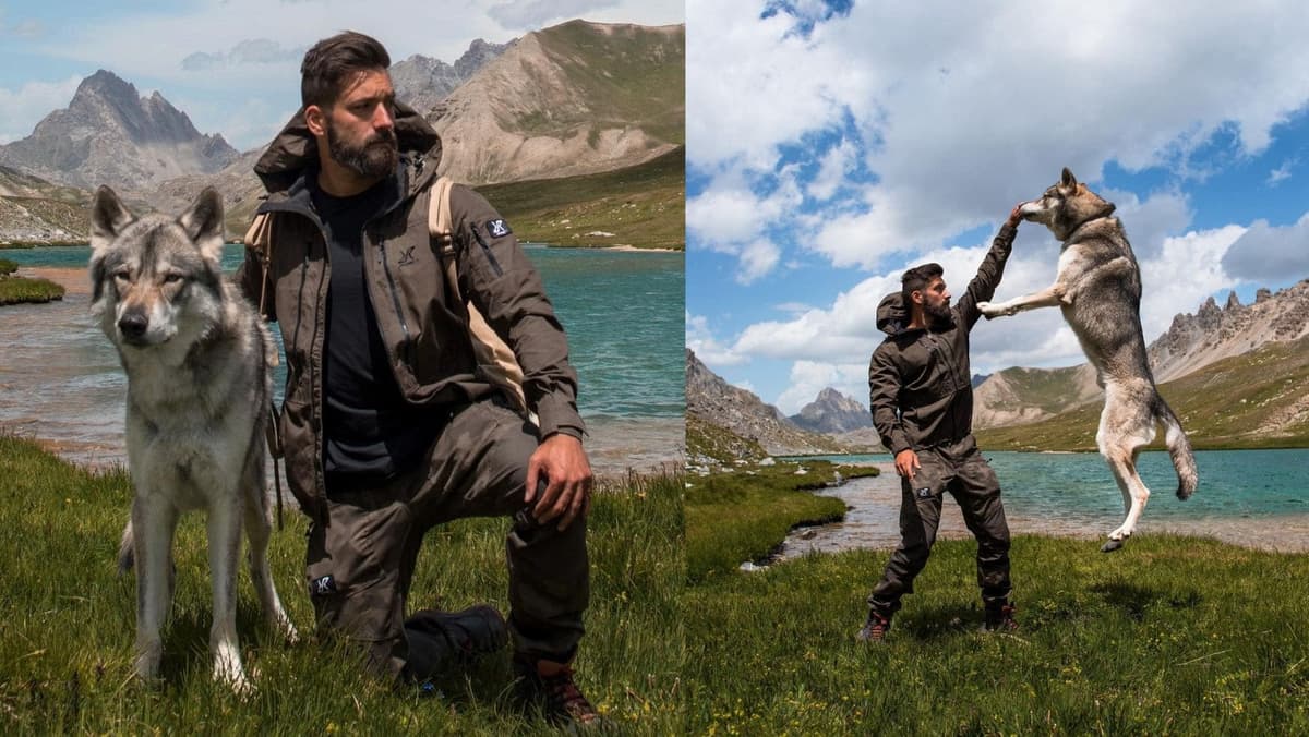 Hombre rescata a cachorrito moribundo y descubre que es un lobo
