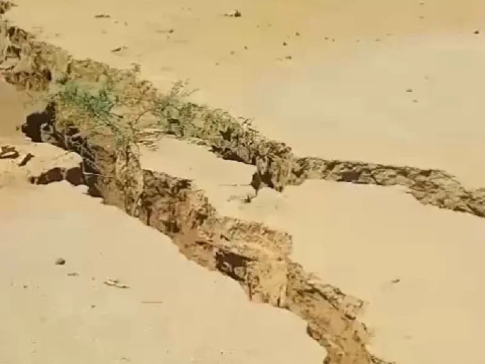 Video: Enorme grieta se 'traga' a unos becerros en Sonora