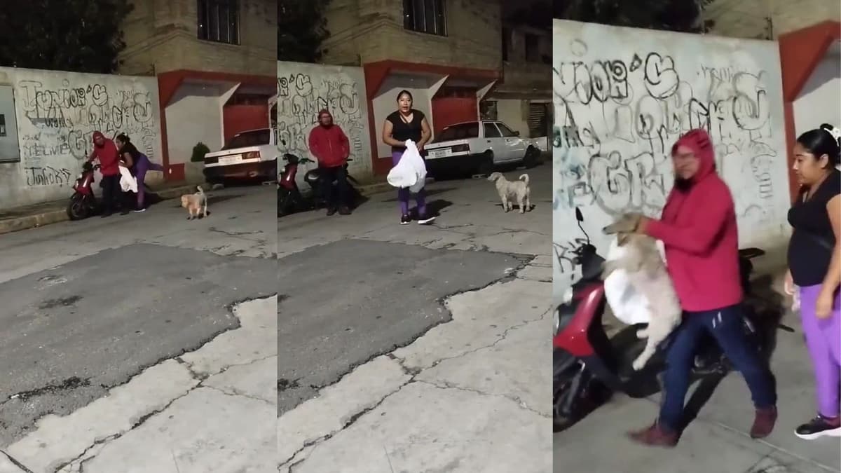 Video: Vecinos "levantan" a perrito porque mordió a su hija en Edomex