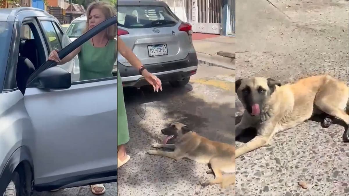 Video: Mujer arrastra a perrito con su camioneta; argumenta que fue porque le rayó su camioneta en Jalisco