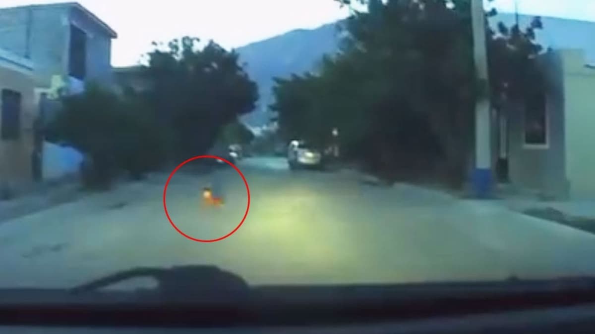 Video: Bebé cruza solo una calle en Nuevo León, casi es arrollado