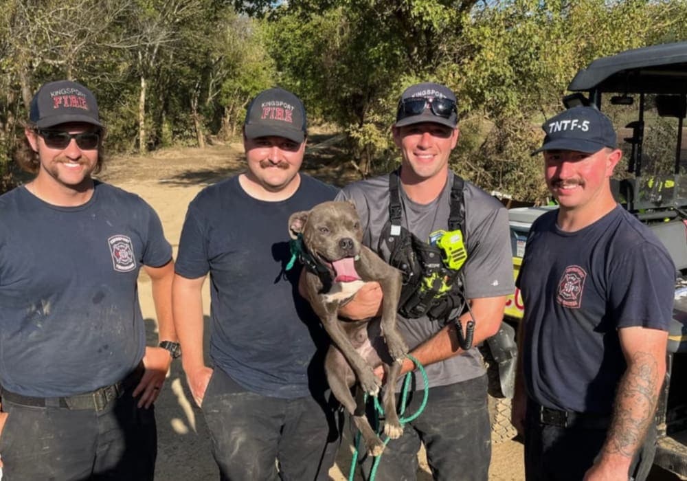 Video: Perro se reencontró con sus dueños tras ser separados por un huracán en Estados Unidos