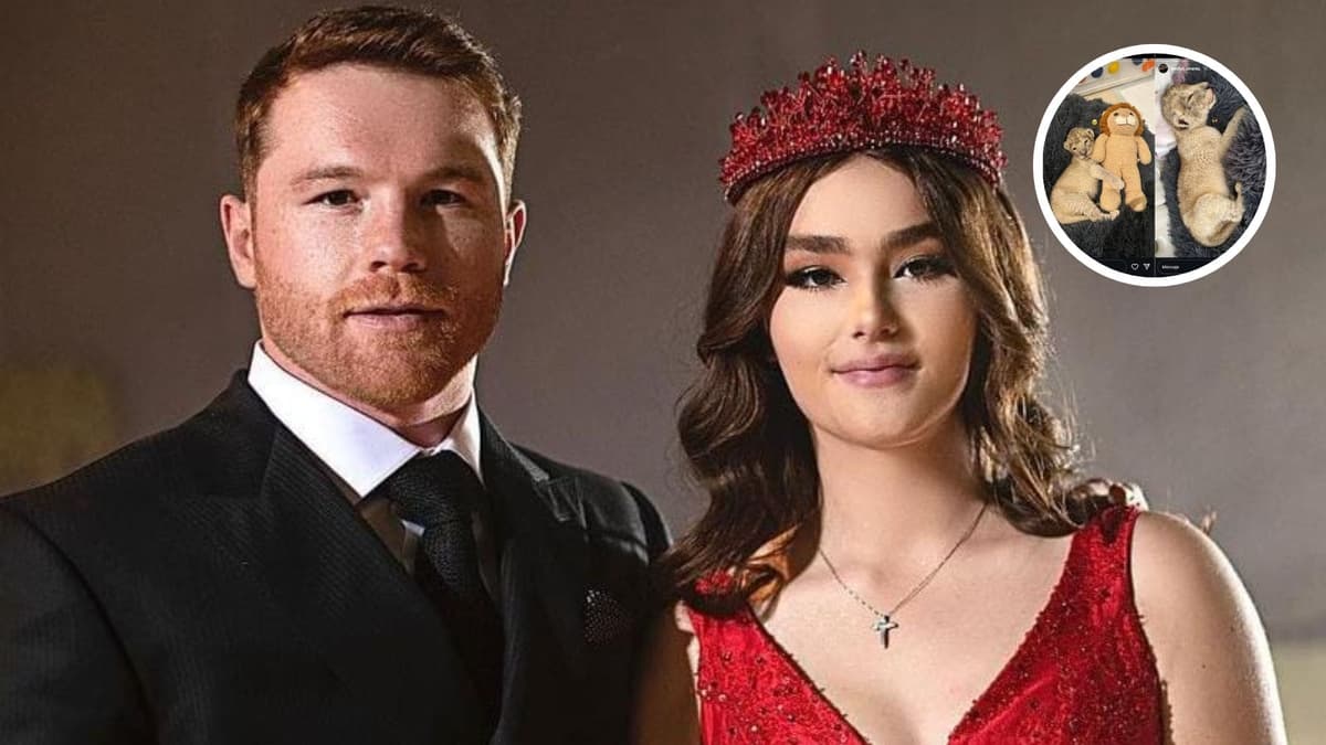 Internautas tunden al "Canelo" Álvarez por culpa de su hija; presumió que tiene un león como mascota