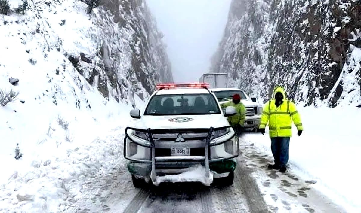 Provoca frente frío temperaturas bajo cero en Chihuahua, en pleno otoño