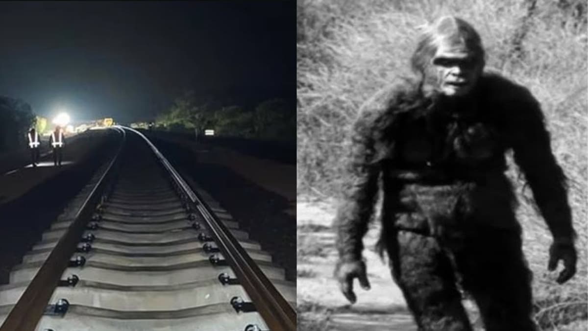 VIDEO: Graban a supuesto Pie Grande en las obras del Tren Maya en Quintana Roo