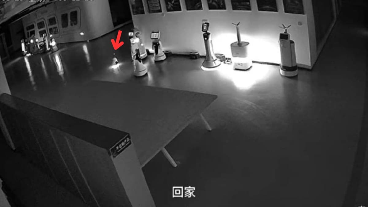 Video: Pequeño robot convence a sus compañeros más grandes de no trabajar en China