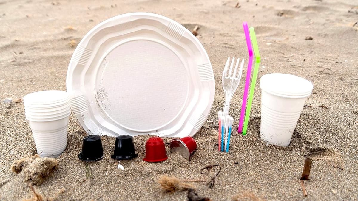 Identifican los 10 productos más problemáticos para el medio ambiente y la salud en México