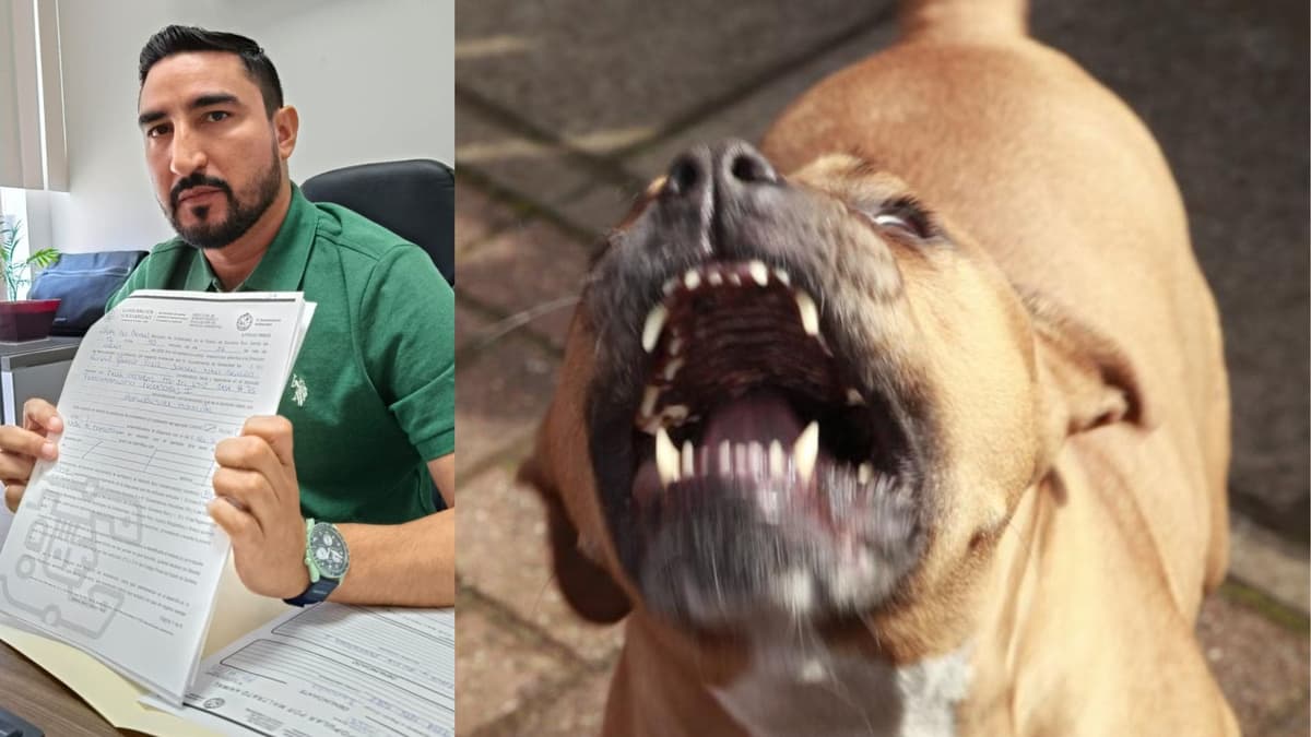 Activan protocolos por ataque de pitbull a dos menores en Villas del Sol