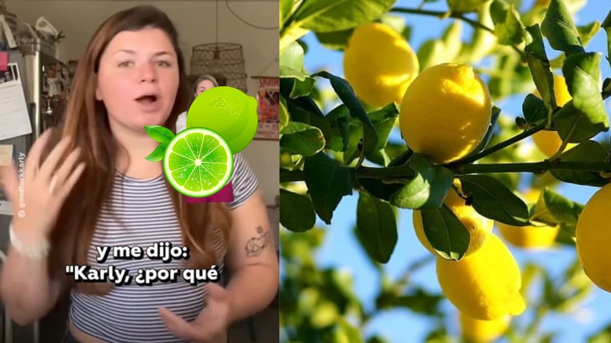Video: Mujer se sorprende al saber que se pueden tomar las frutas de los árboles