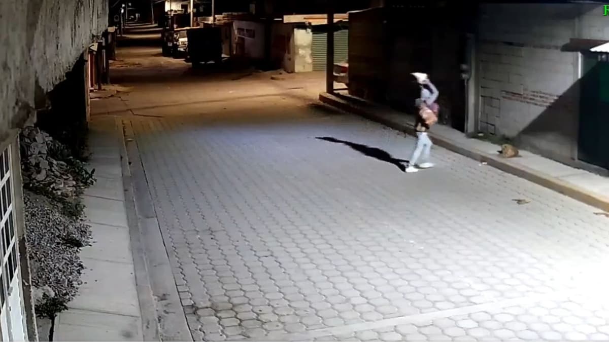 Video: Hombre lanza piedra gigante a perrito que dormía en la calle, en Puebla