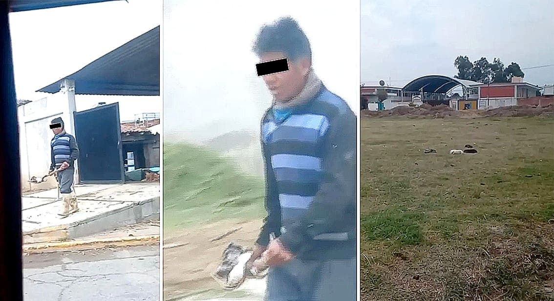 Video: Lanza hombre a cachorros a la calle con una pala, en Puebla