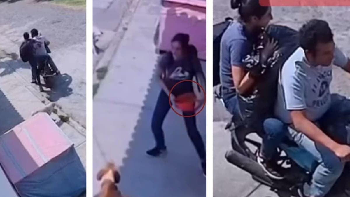Video: Pareja en motocicleta se roba las croquetas de perritos callejeros en Morelos