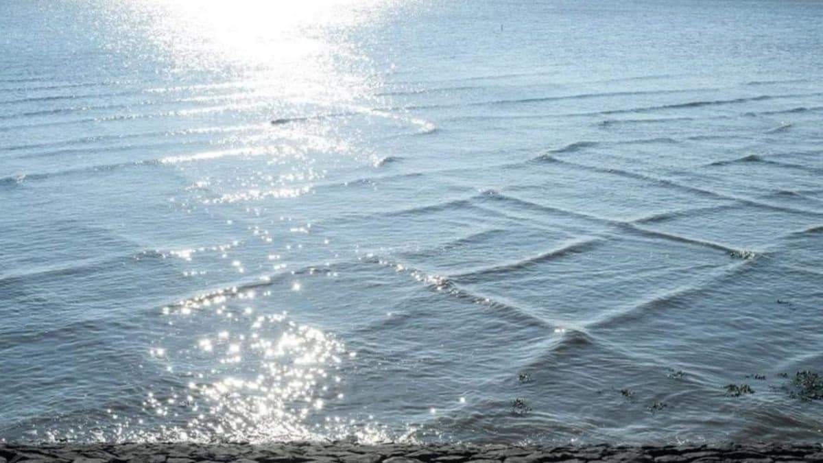 Video: Surgen olas cuadradas en el mar Egeo en Turquía; son consideradas altamente peligrosas