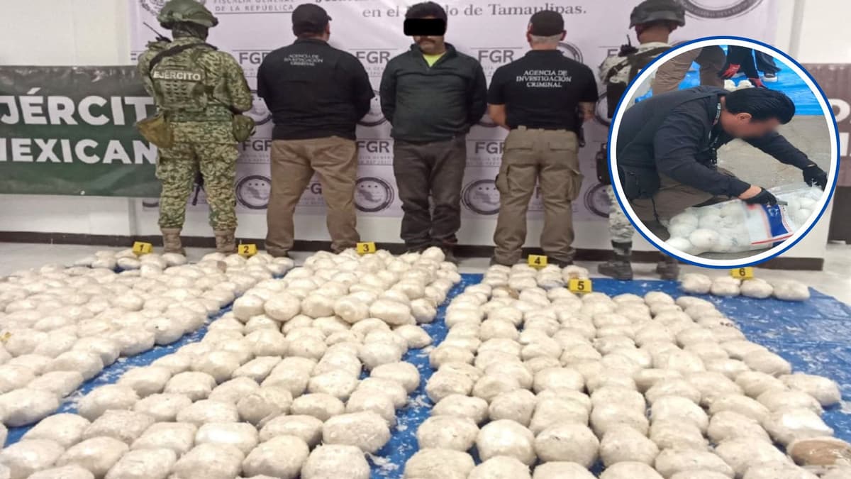 Autoridades federales encuentran en Tamaulipas más de 200 kilos de metanfetamina en cebollas