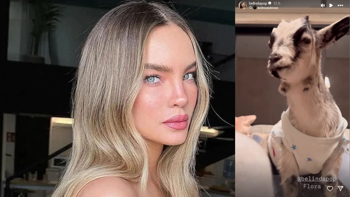 Belinda presume que tiene una cabra como mascota y la tunden en redes sociales