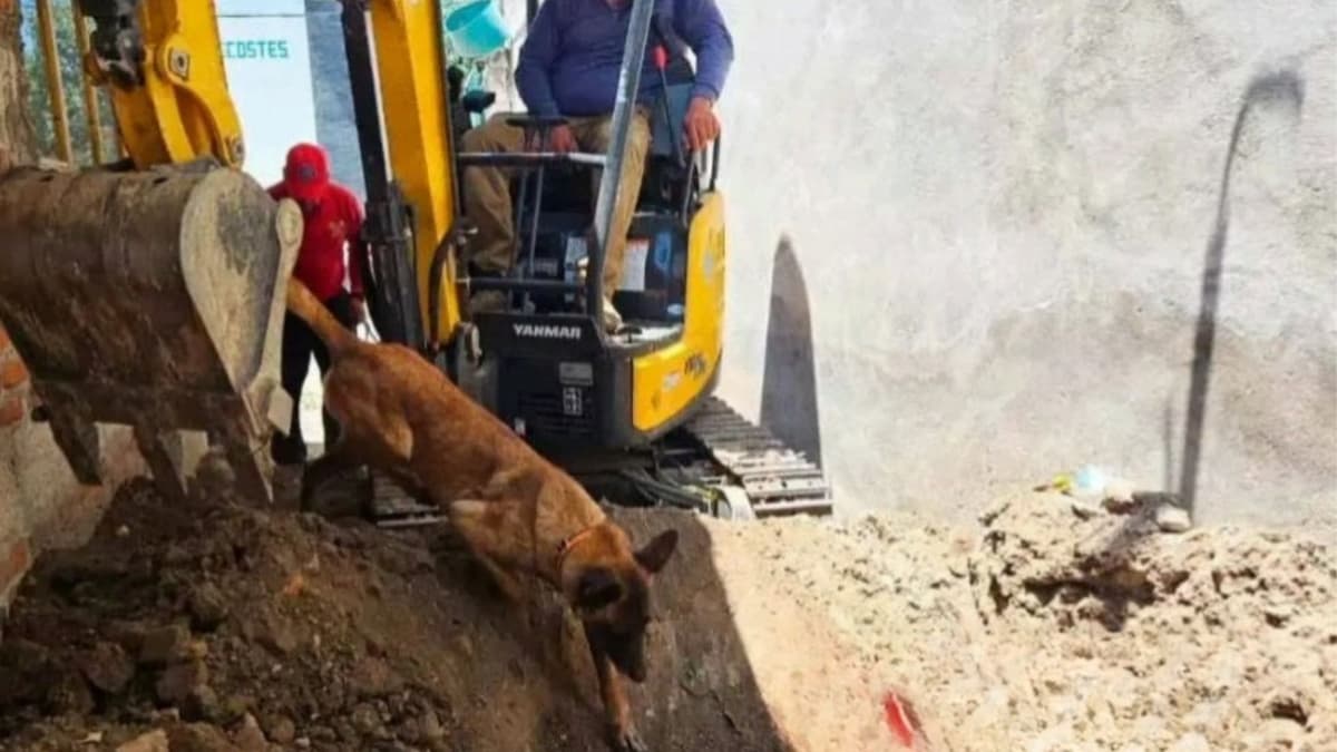 Después de cinco años, encuentran restos de adolescente desaparecido en la casa de su padre en Puebla
