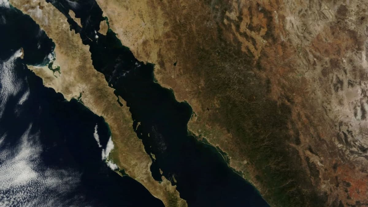 Científicos de la UNAM advierten que Baja California se ha desplazado 24 metros, ¿se convertirá en una isla?