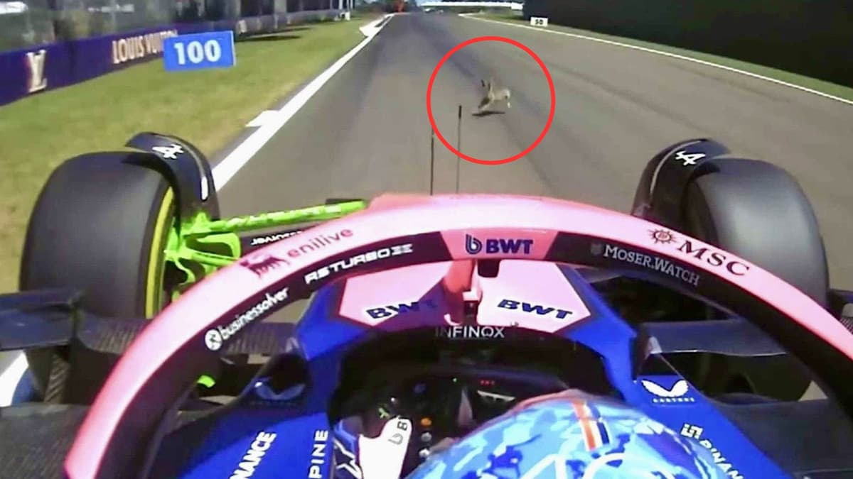 Pierre Gasly, piloto de Alpine atropella una liebre durante las primeras prácticas libres del GP de Emilia Romagna