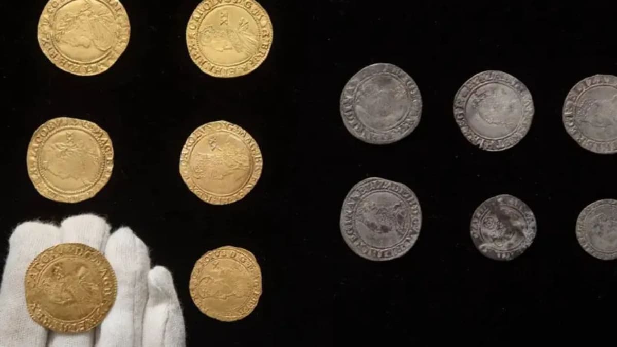 Pareja encuentra más de mil monedas del siglo XVII tras remodelación de su cocina en Inglaterra