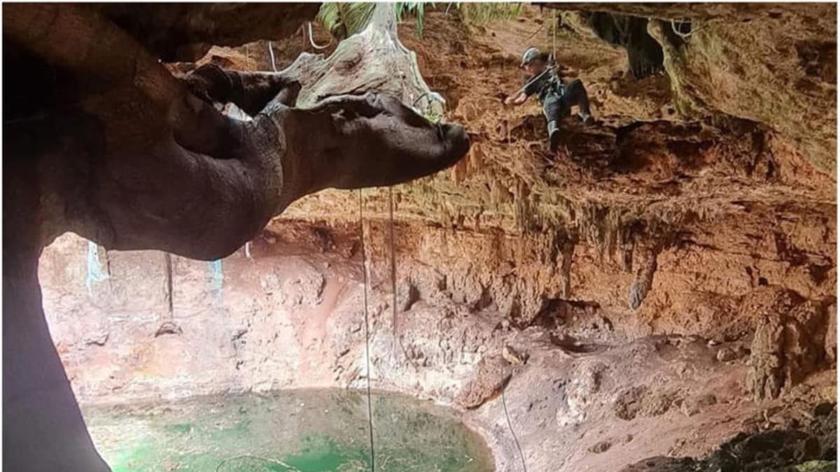 Personal de CFE descubre cenote en Yucatán mientras instalaba un poste de luz