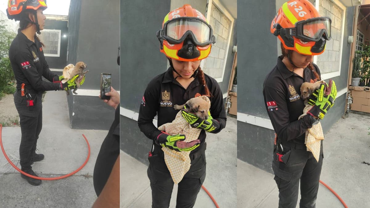 Video: Rescatan a perrito tras quedar tres días atrapado en el  drenaje en Monterrey, Nuevo León