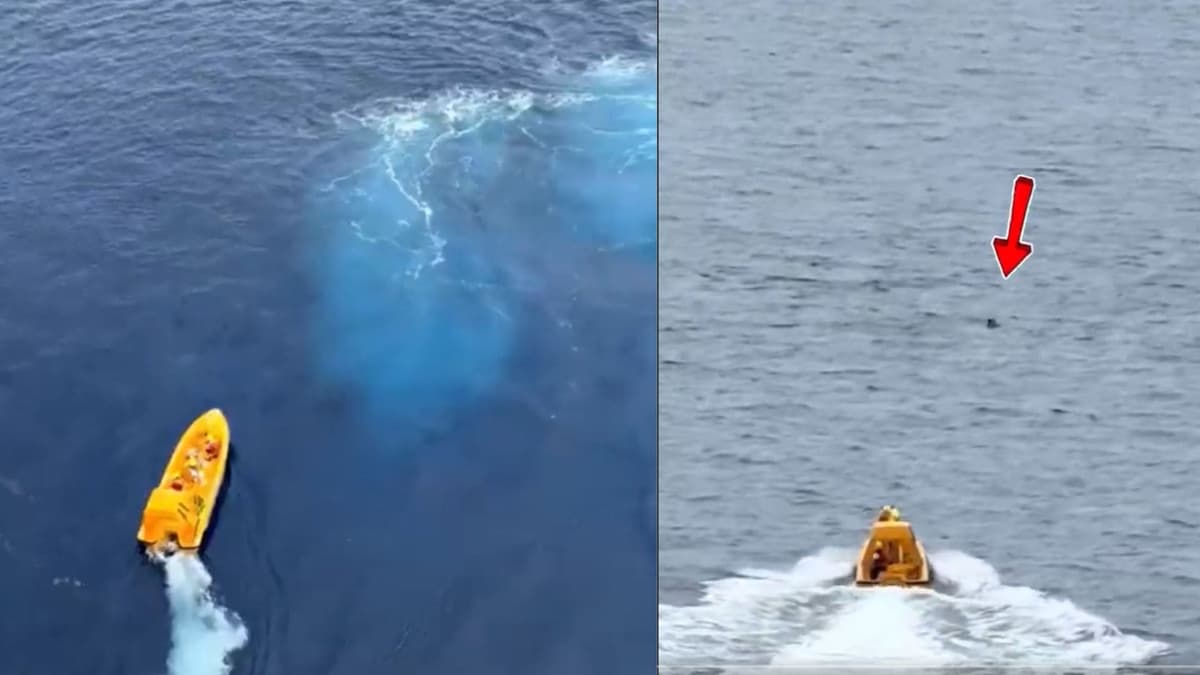 Video: Hombre se lanza al mar para rescatar a su hija de cinco años que cayó durante un crucero de Disney
