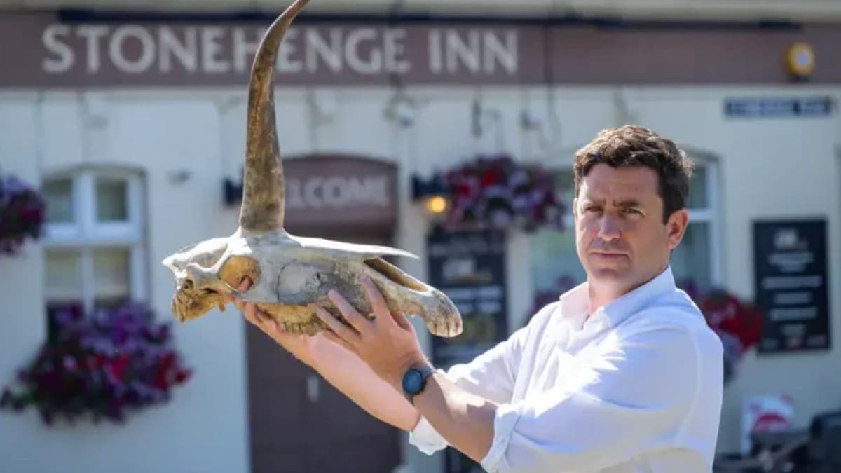 Turista encuentra presunto cráneo de unicornio cerca del castillo del rey Arturo en Inglaterra