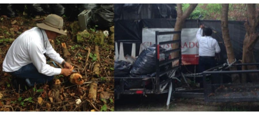 Por remoción de mangle, clausura PROFEPA predio en Playa del Carmen