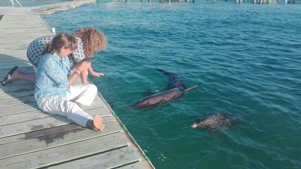 Explotación de delfines es bien vista por Luz María Beristain