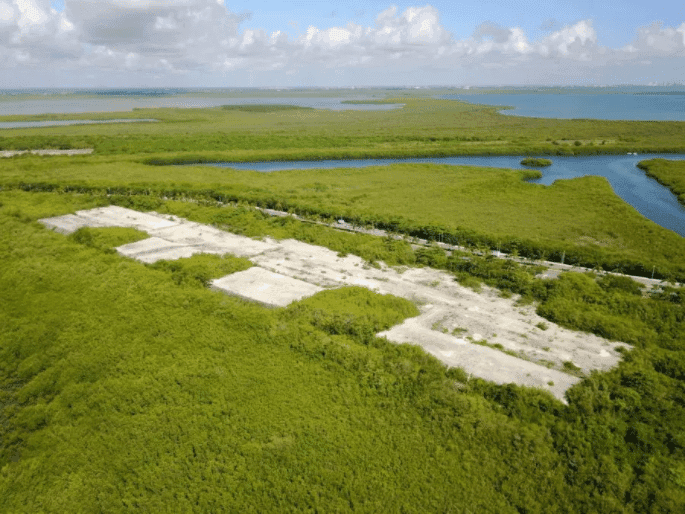 Se manifiestan por devastación de manglar en Punta Nizuc