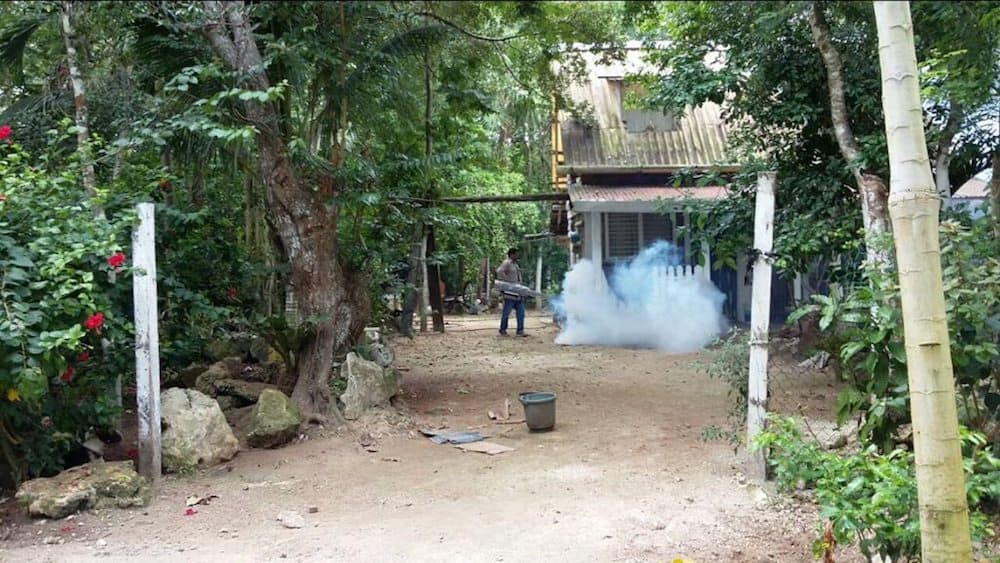 Refuerzan acciones para combatir enfermedades transmitidas por vector