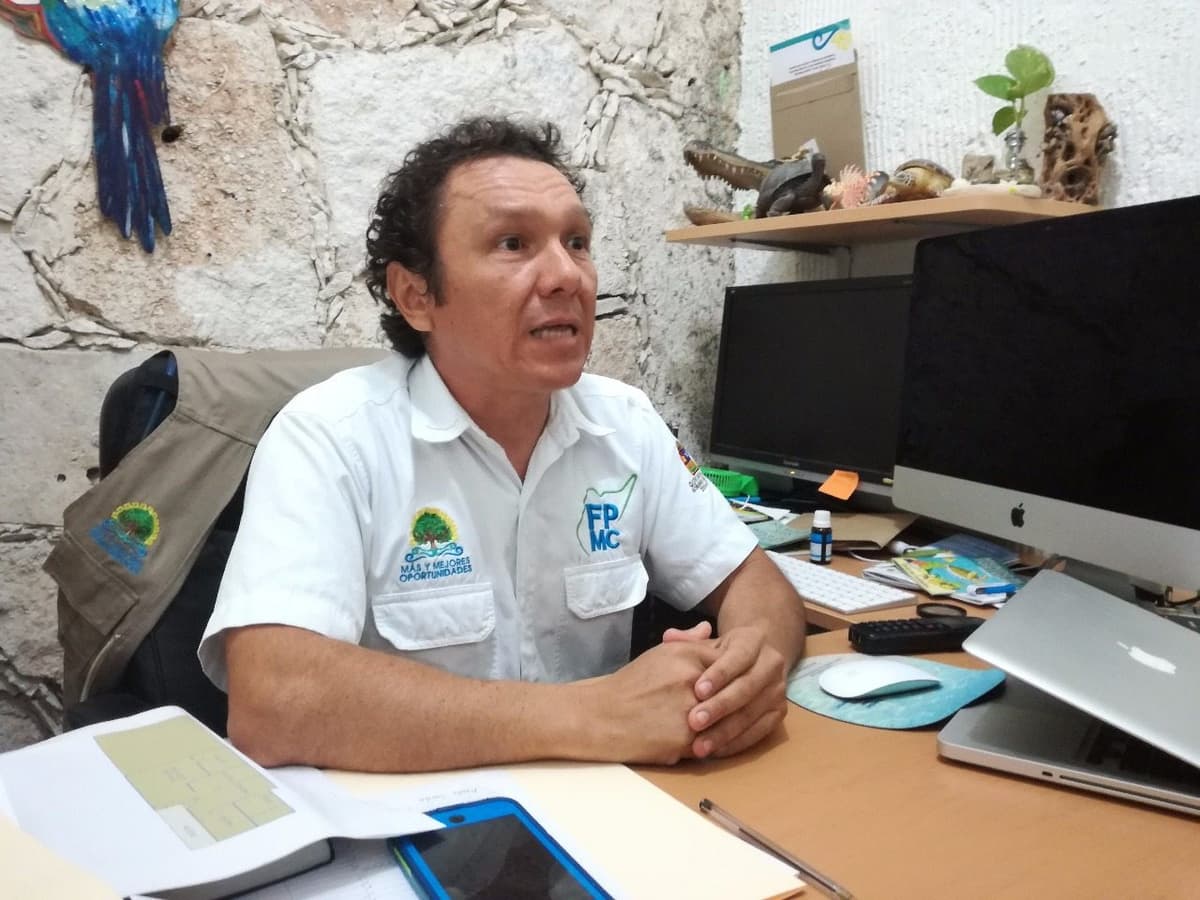 Corresponde a Profepa revisar delfinario junto a Chankanaab