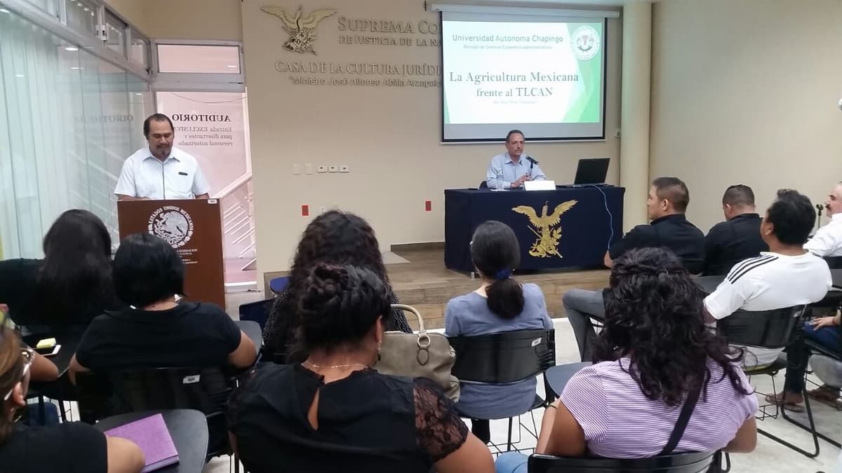 Pide académico a la Federación voltear a ver el campo de Q. Roo