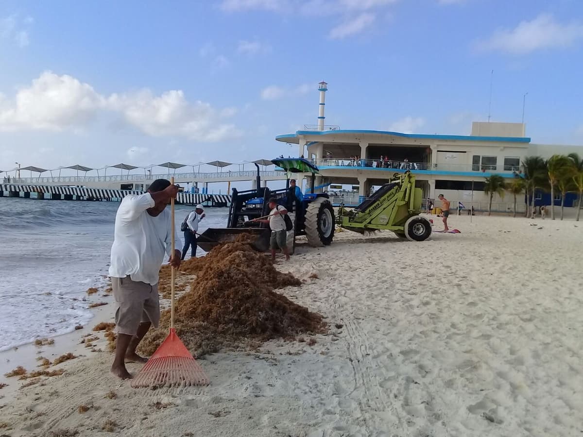 ZOFEMAT suma esfuerzos con la sociedad civil para atender arribo de sargazo