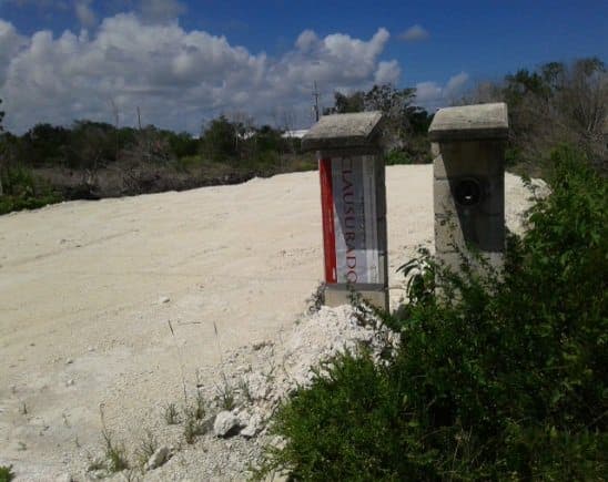 Frenan relleno de manglar en Mahahual