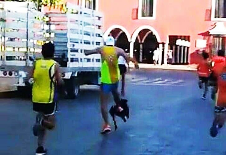 Patea corredor a perro en competencia y causa indignación