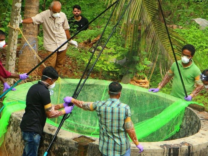 El virus Nipah en la lista de enfermedades prioritarias de estudio