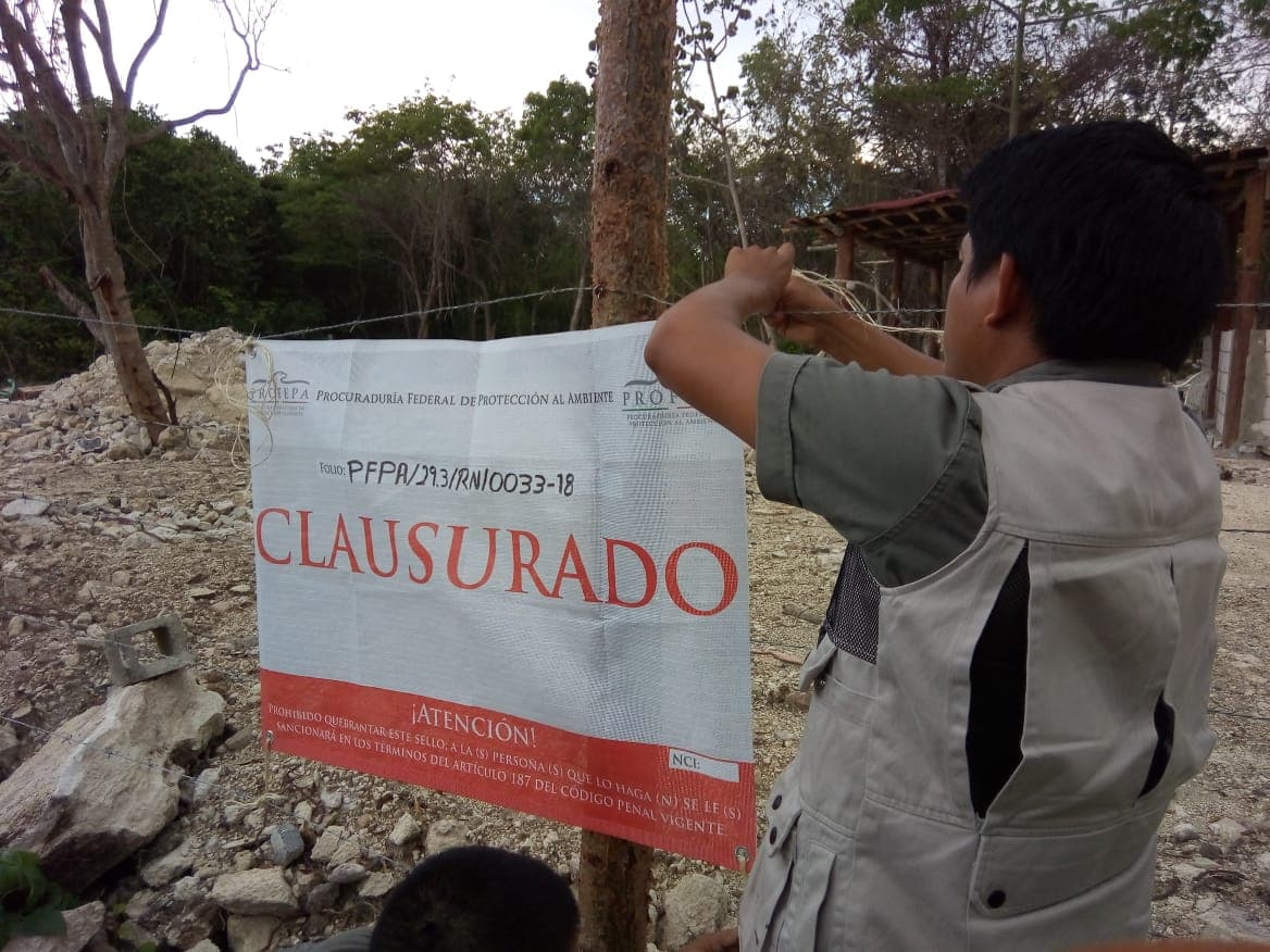 Evita Profepa que invasores acaben con flora y fauna
