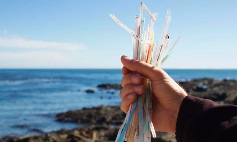 Este es el primer estado costero en prohibir uso de bolsas de plástico y popotes en comercios