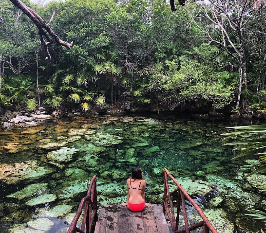 El mejor picnic de tu vida ¡Es un cenote!