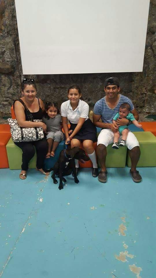 "Mi amigo de la calle" invita a la Feria de adopción de perritos